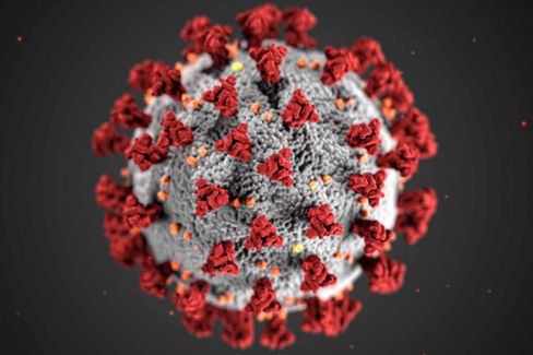 Cos’è il Programma alimentare mondiale che ha vinto il Nobel per la Pace