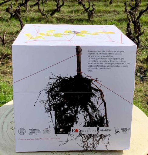 Vino. Nove giovani produttori regalano bottiglie a 47 ristoratori per ripartire