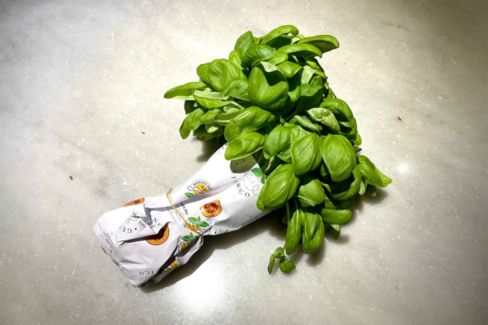 Il basilico fresco e raccolto a mano arriva a casa tua con Genovese Storico