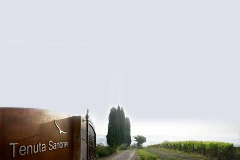 Ho cercato bollicine in Val D’Orcia e ho trovato una giovane cantina