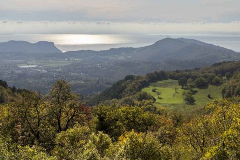 Bardolino. Il vino del Lago di Garda ha un nuovo disciplinare con tre cru
